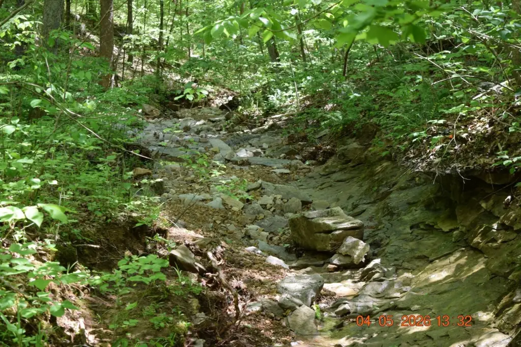 Picture 25