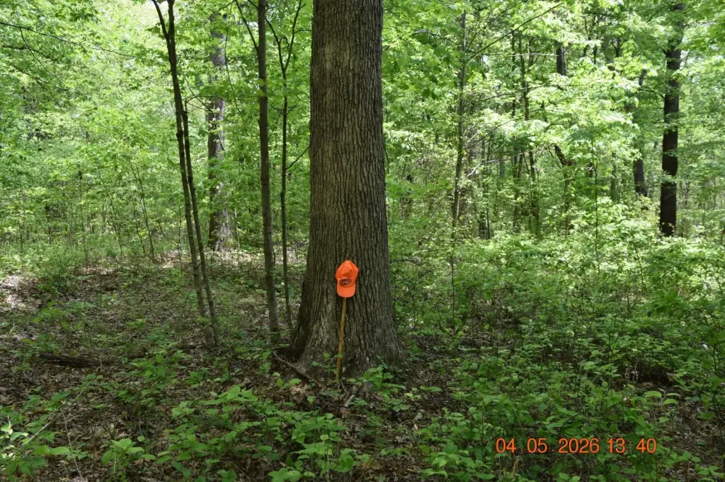 Picture 29