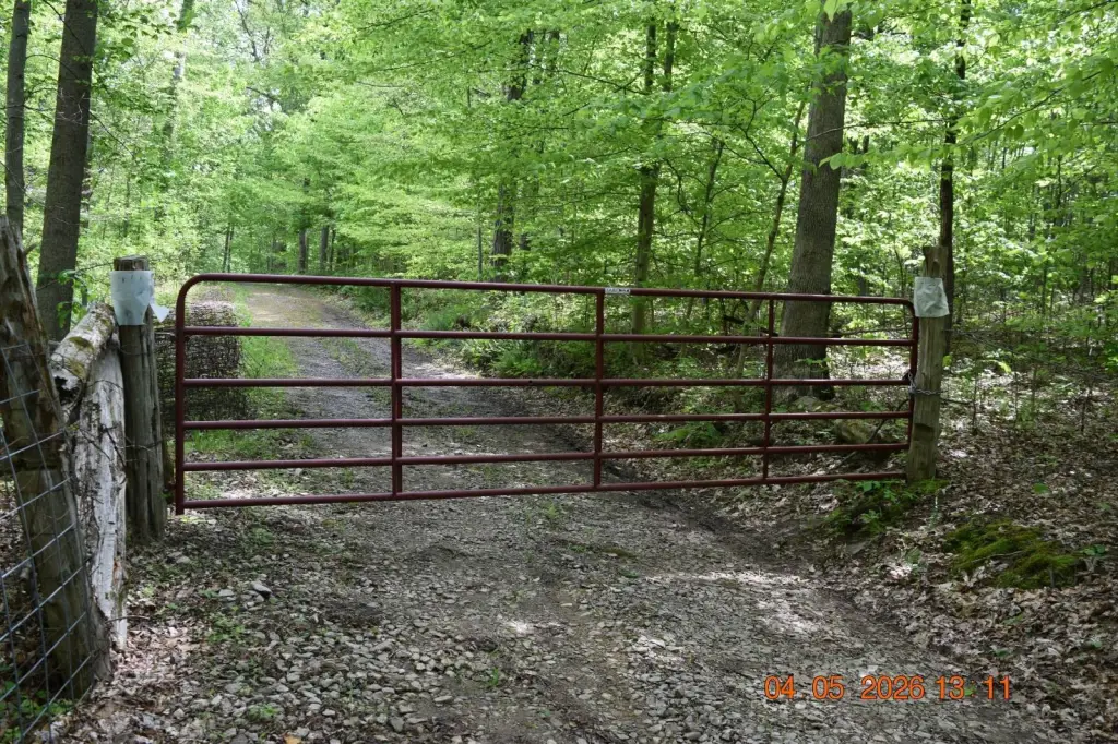 Picture 13