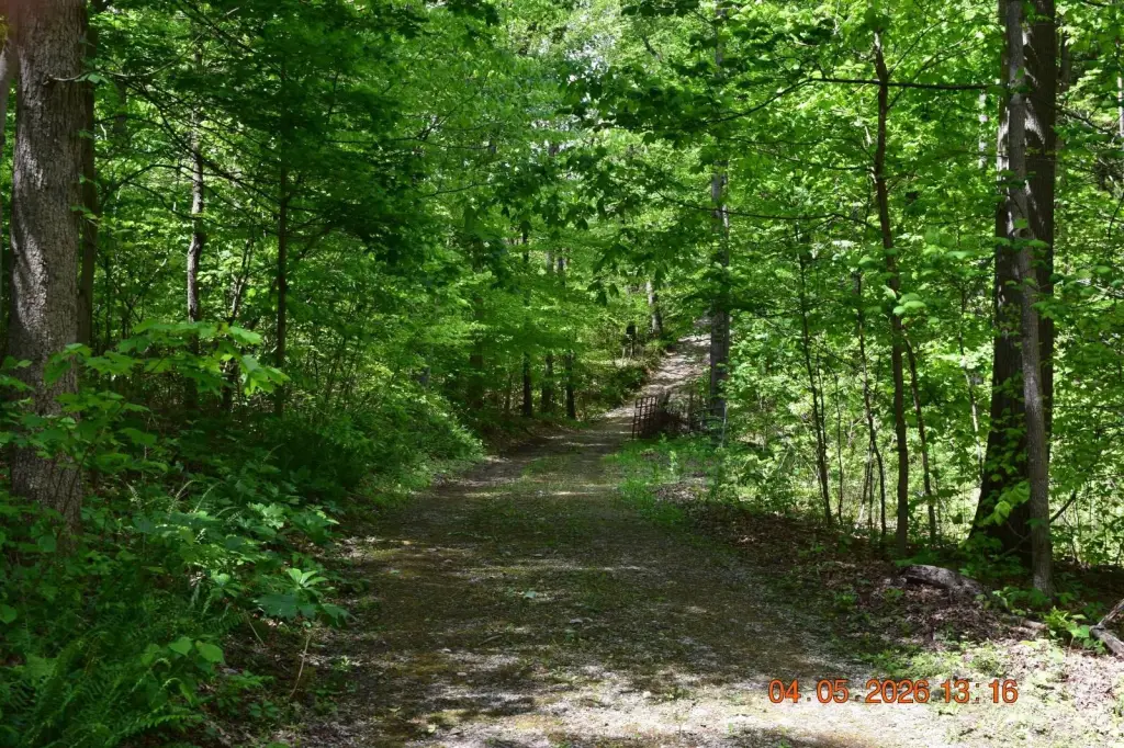 Picture 15