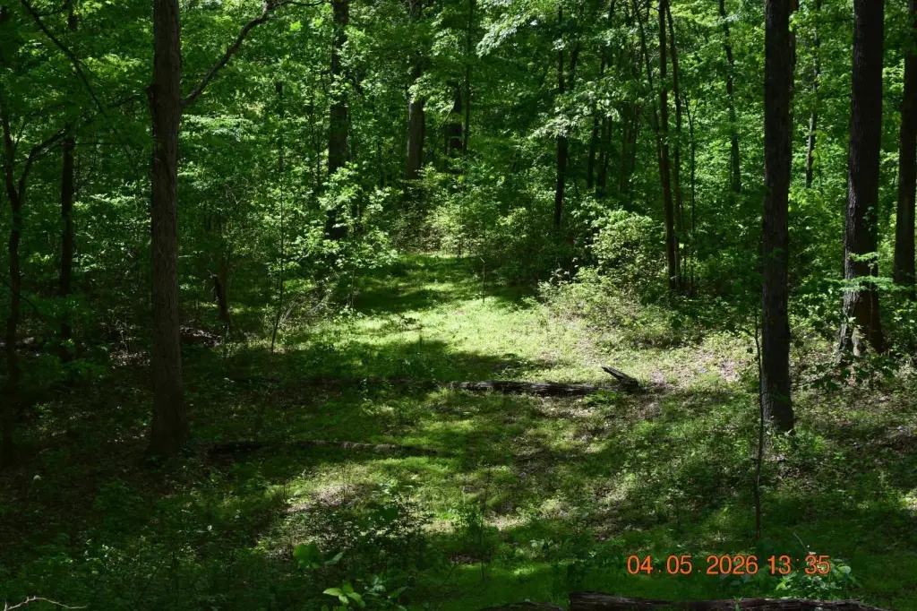 Picture 26