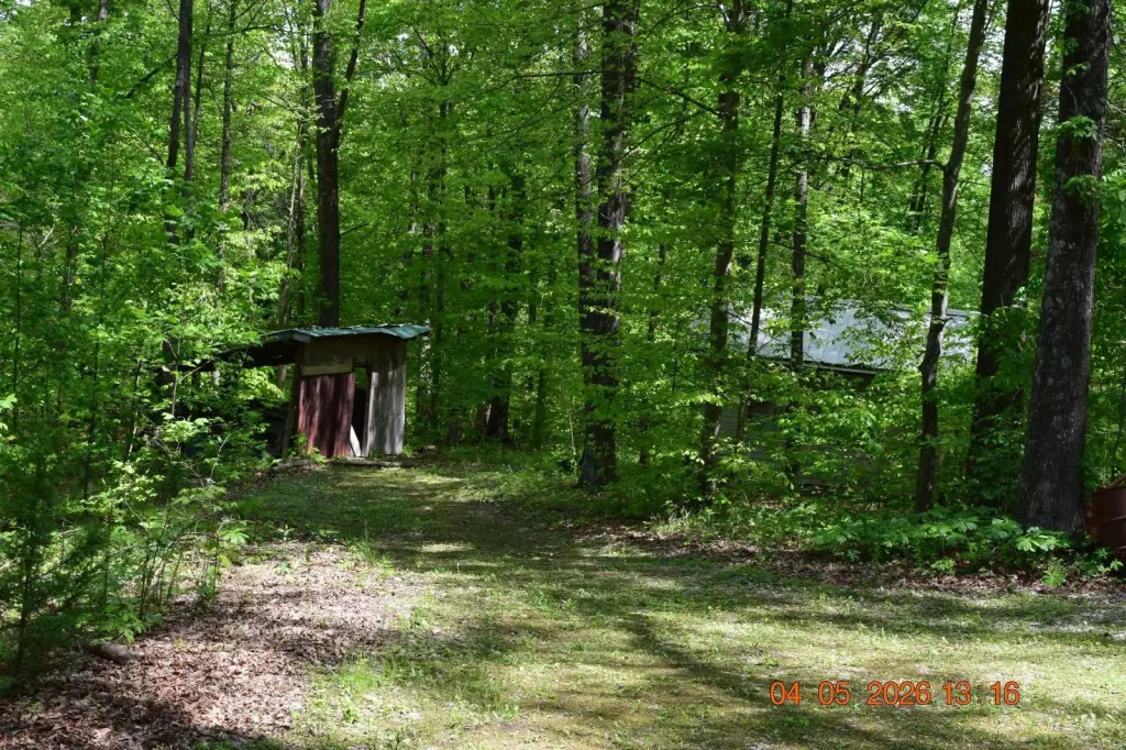 Picture 16