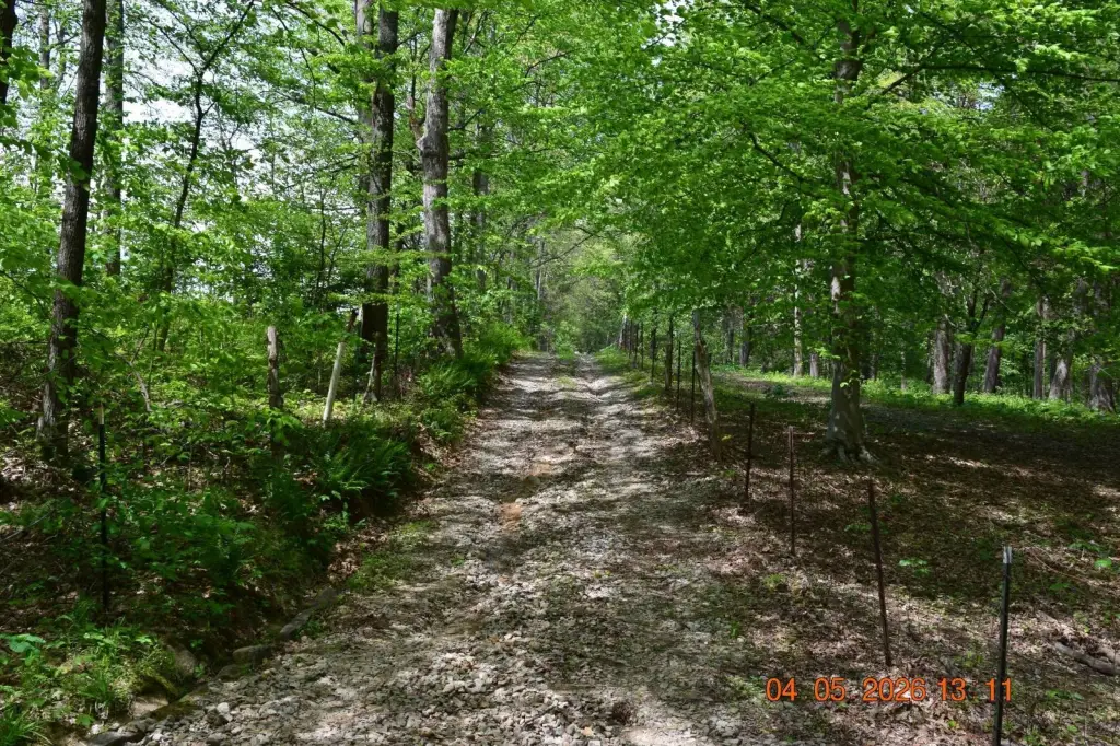 Picture 14