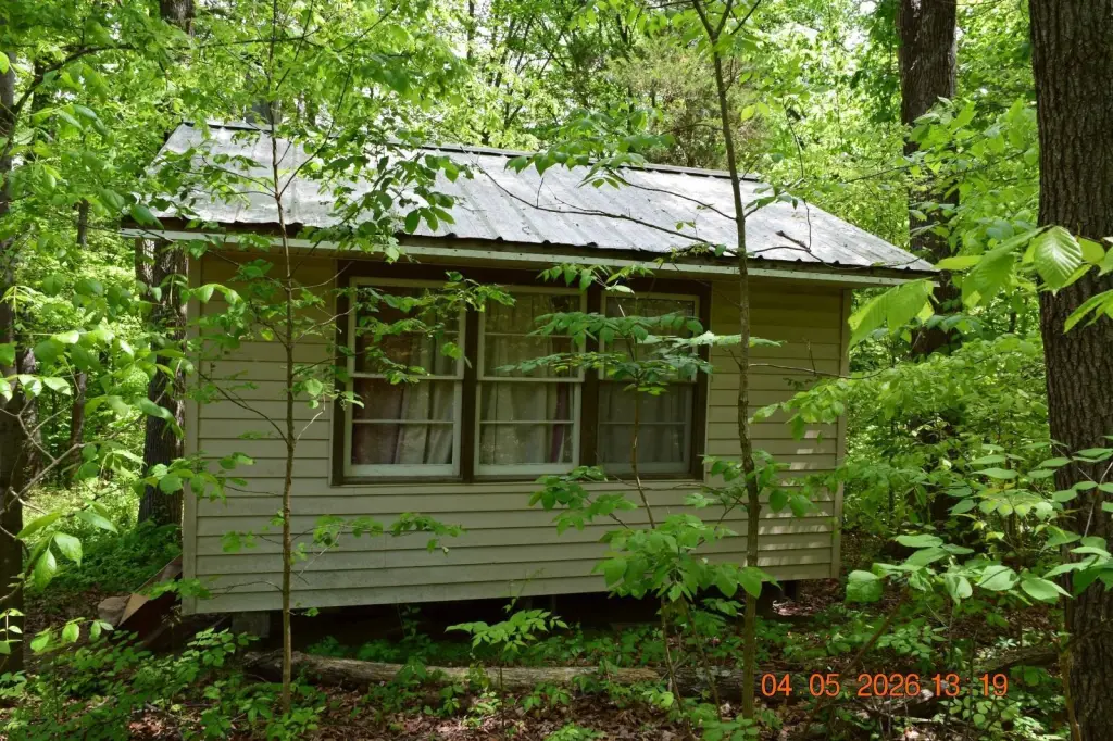 Picture 18
