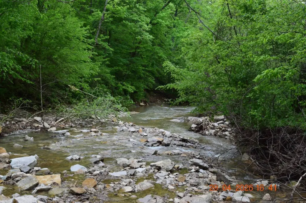Picture 9