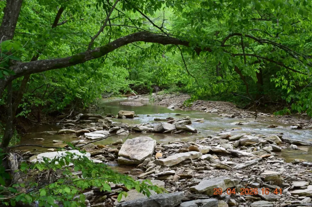 Picture 8