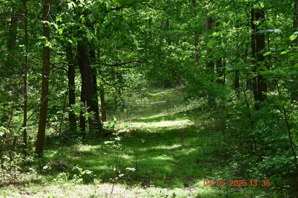 Picture 27