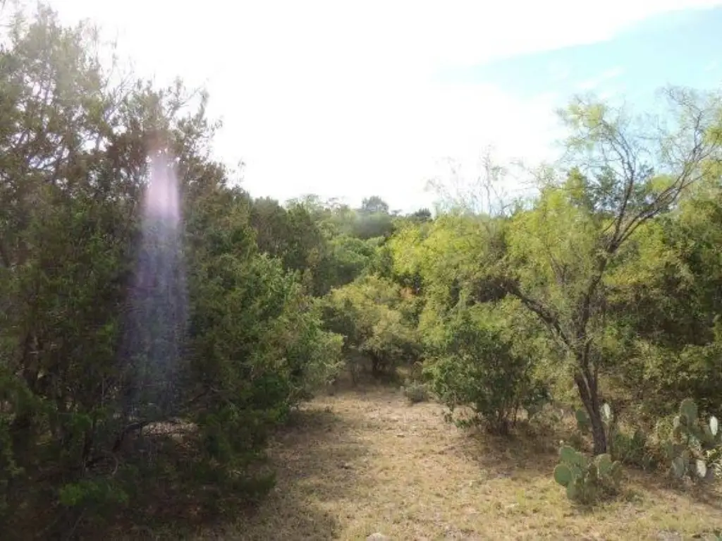 Picture 8