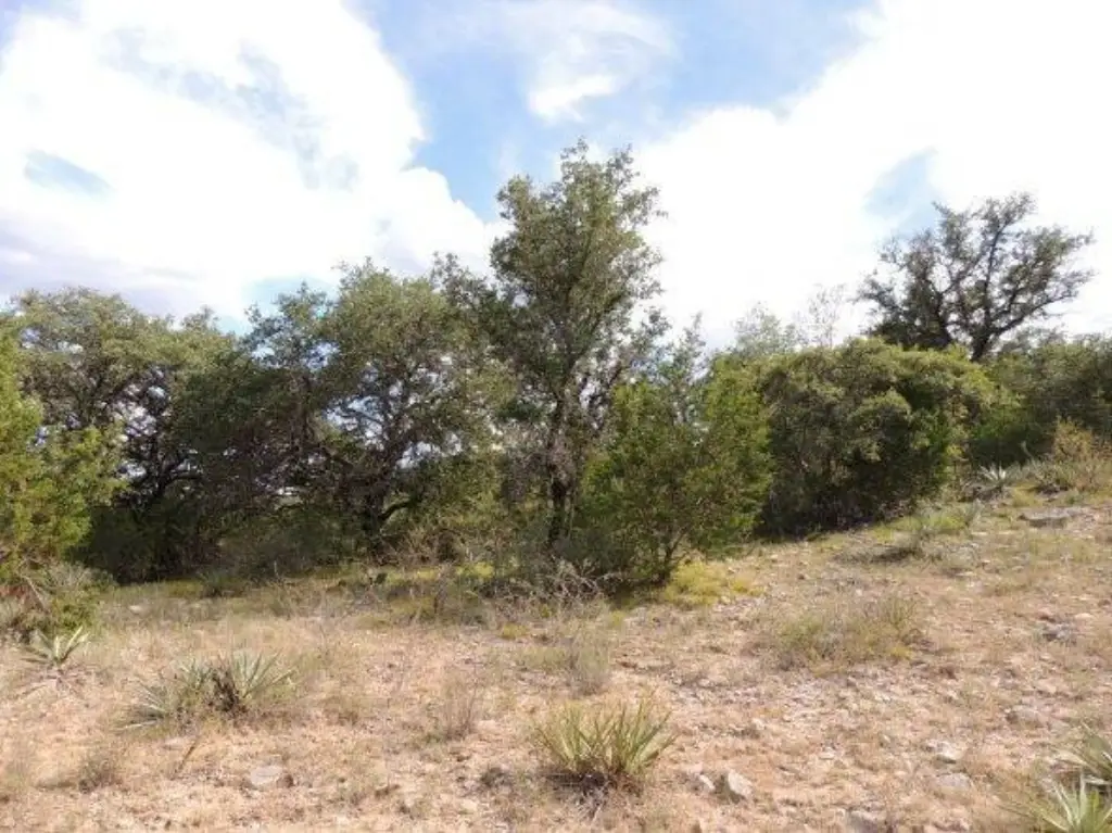 Picture 6