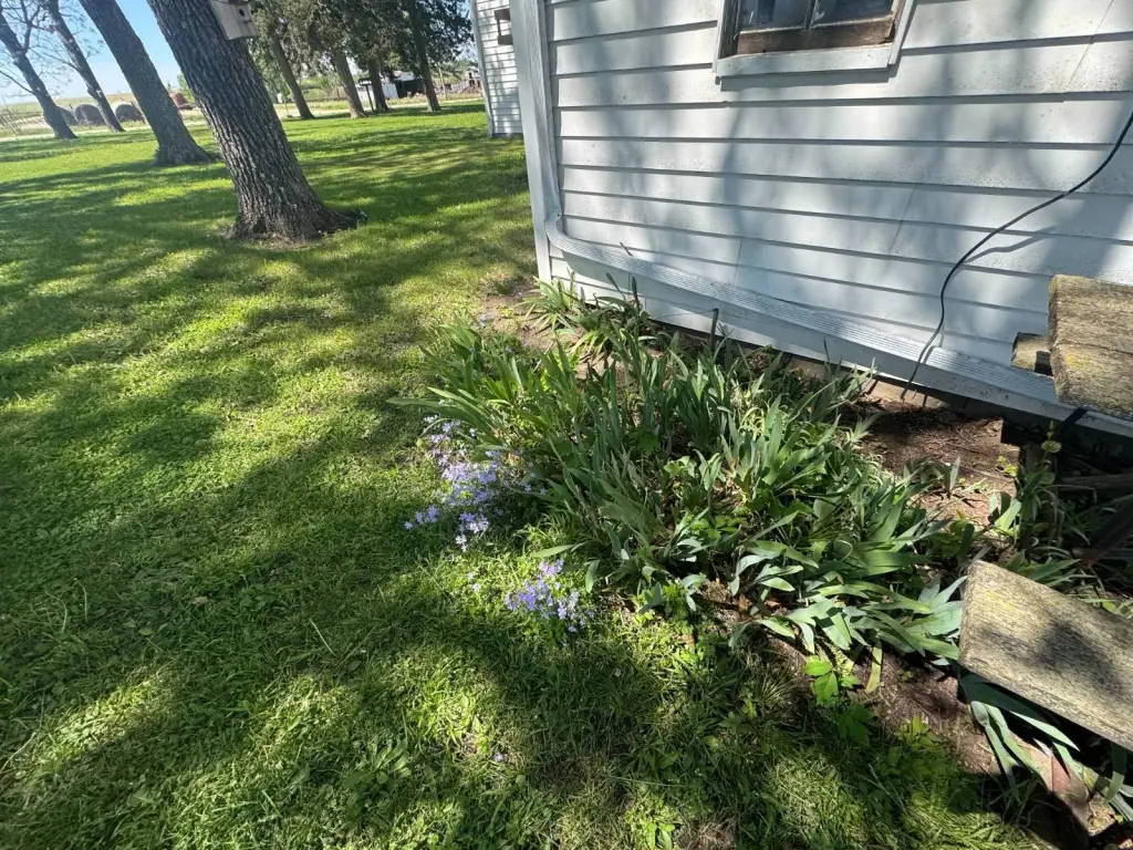 Picture 38