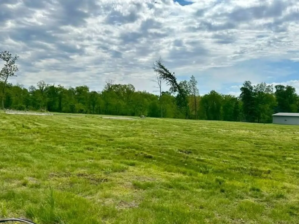 Picture 6