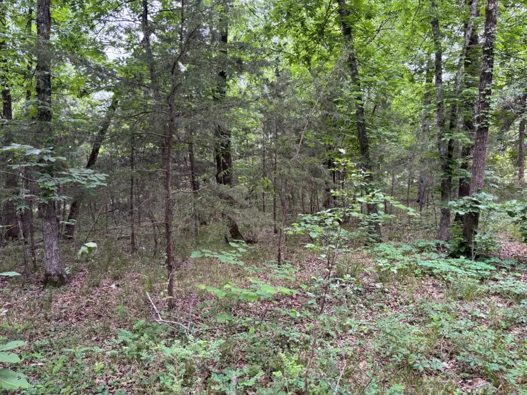 Picture 9