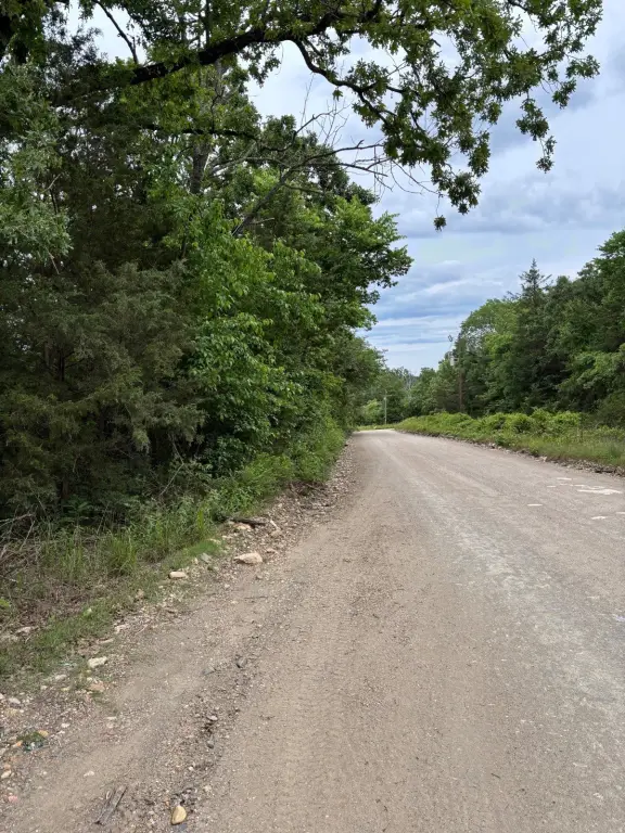 Picture 19