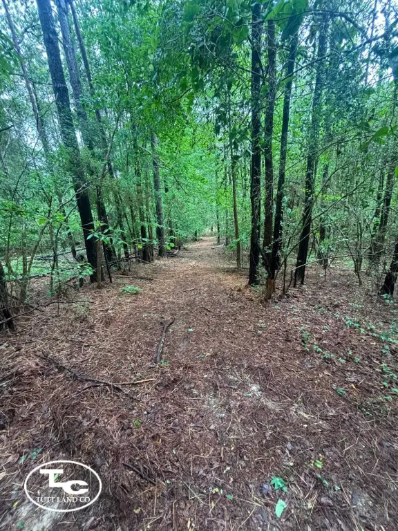 Picture 18