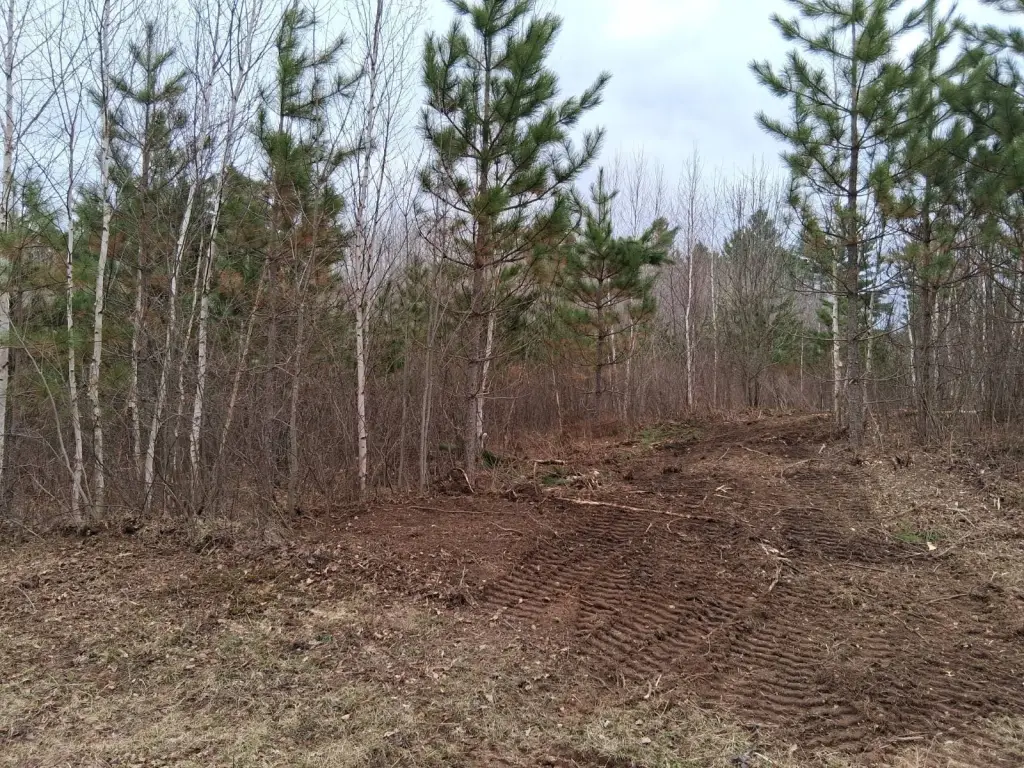 Picture 5