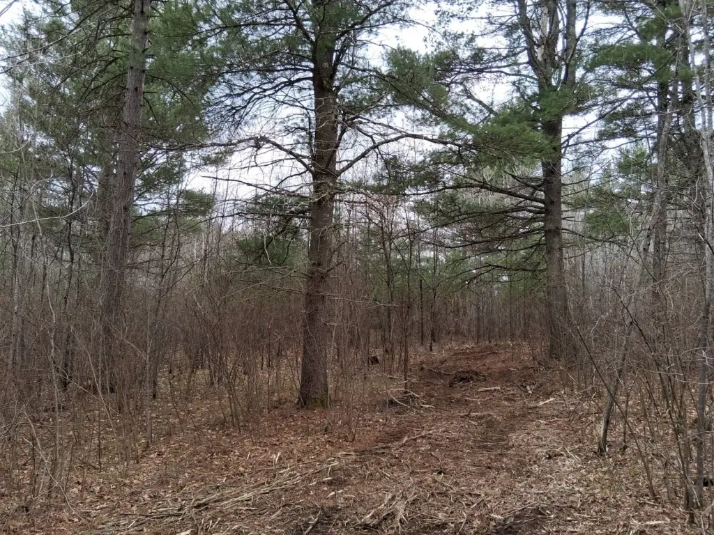 Picture 18