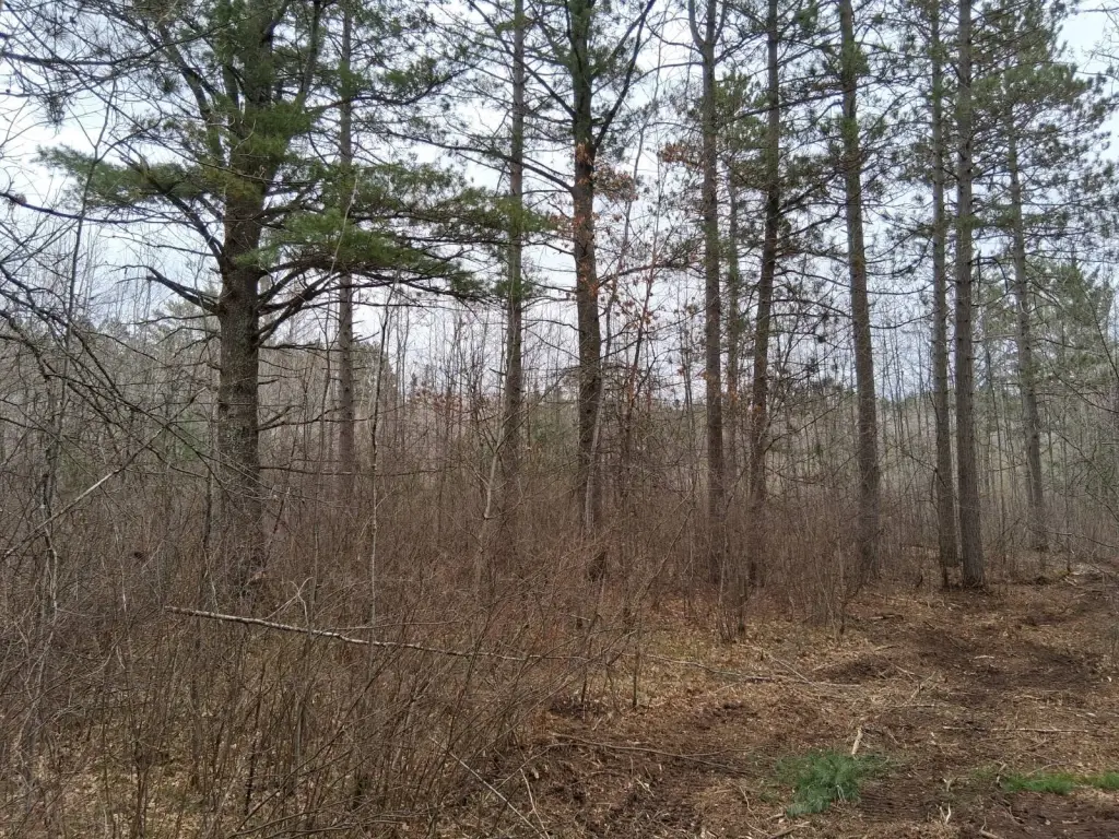 Picture 14