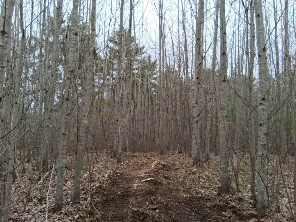 Picture 8