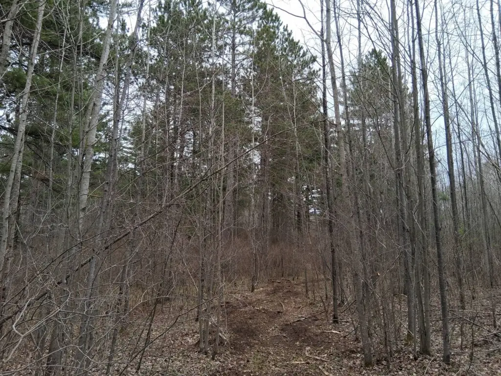 Picture 9