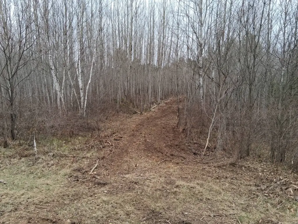 Picture 3