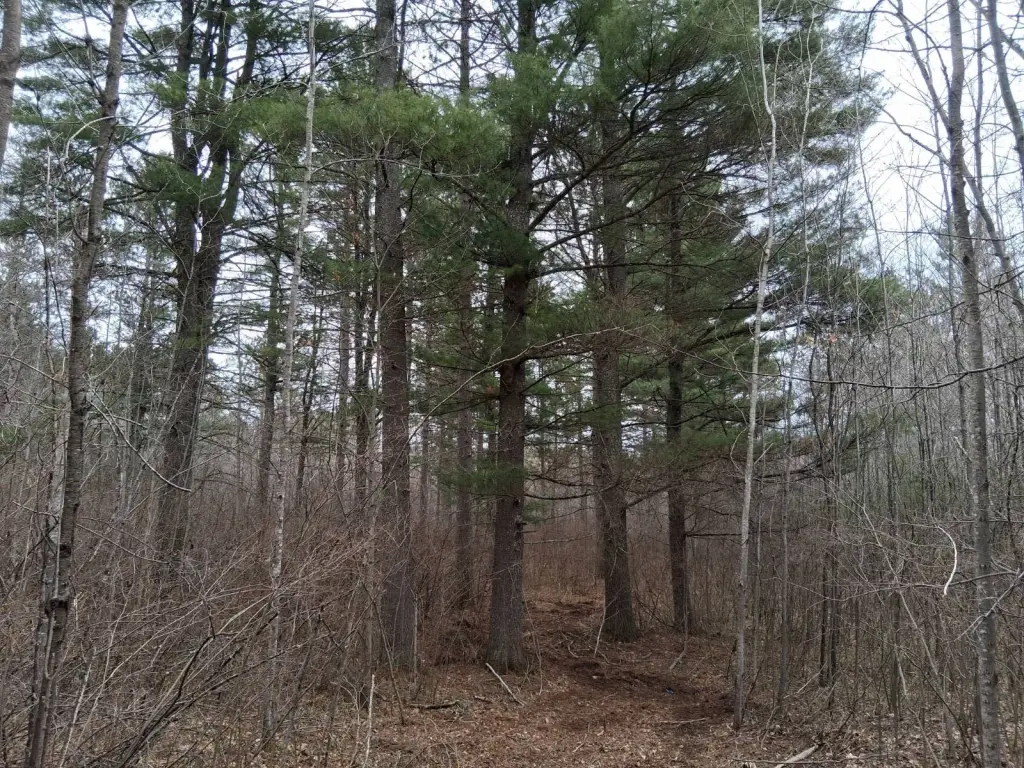 Picture 11