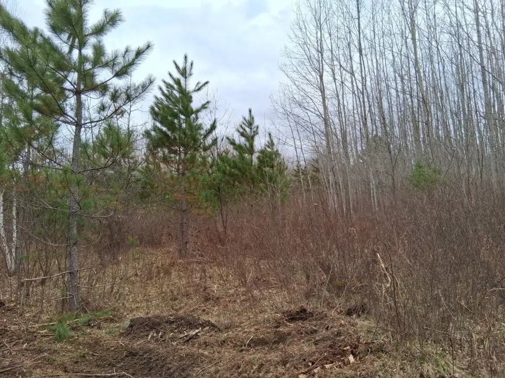 Picture 7
