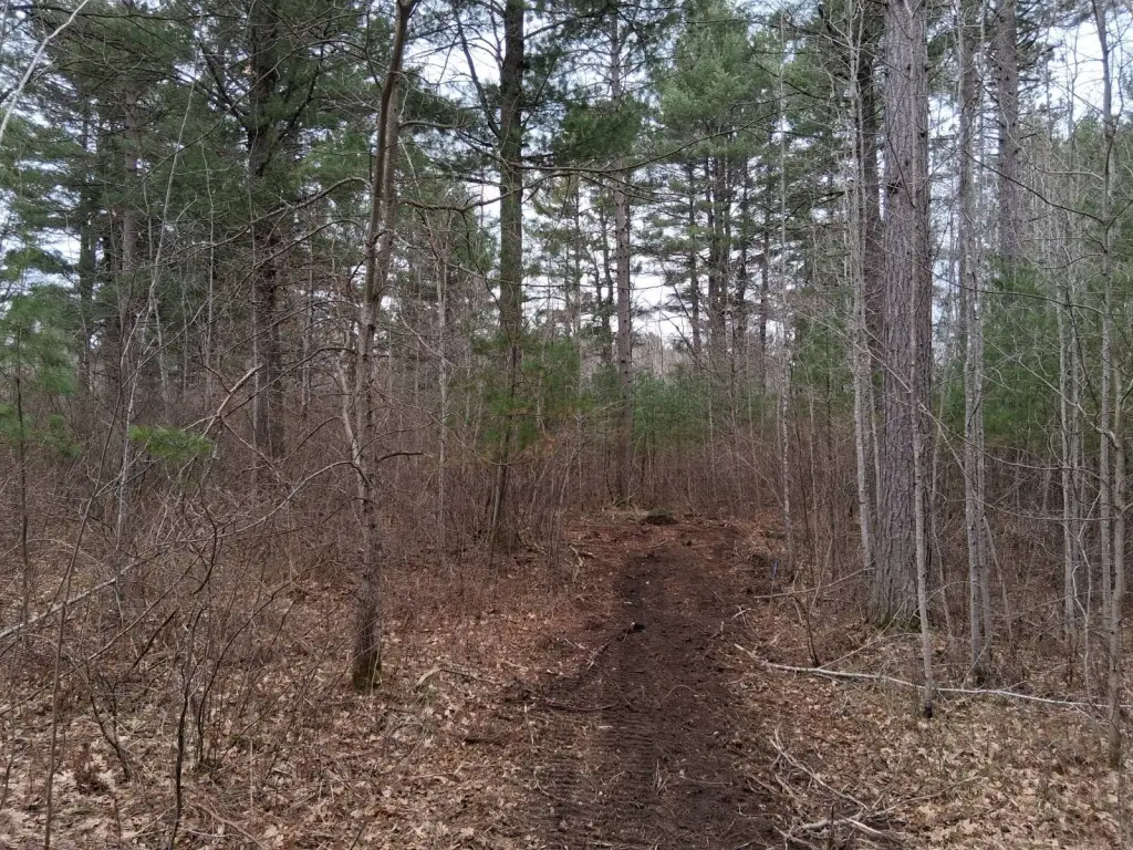Picture 16