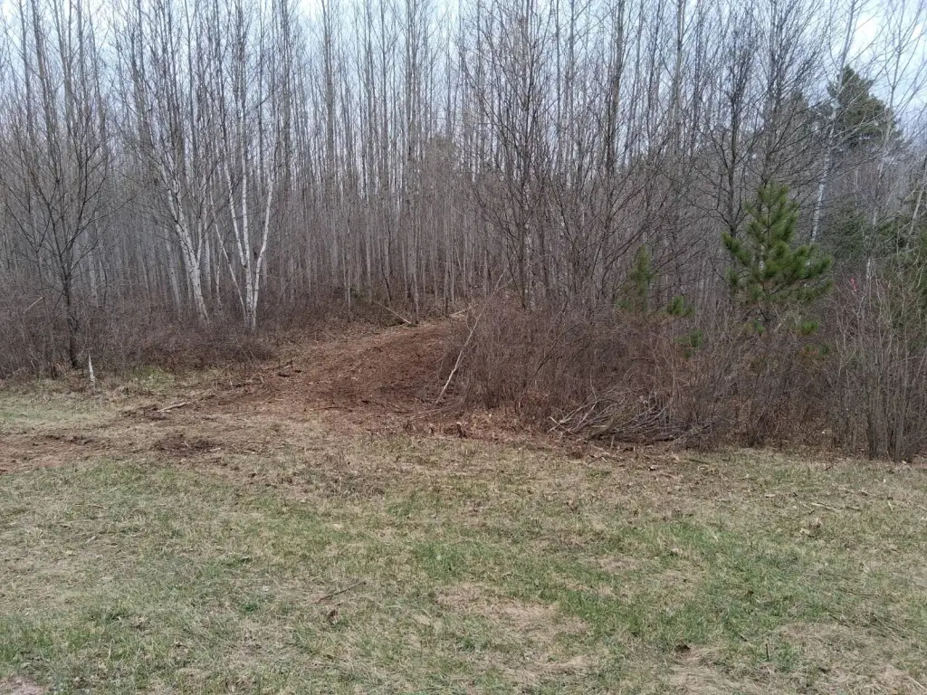 Picture 4