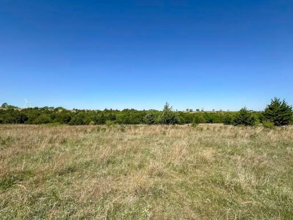 Picture 15