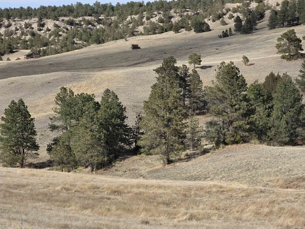 Picture 8
