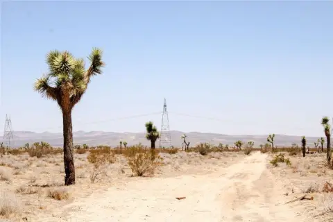 Phelan Land for Off-Grid Living