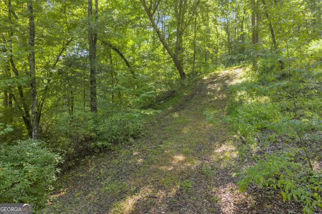 Picture 29