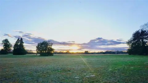 East Texas Unimproved Land Parcel