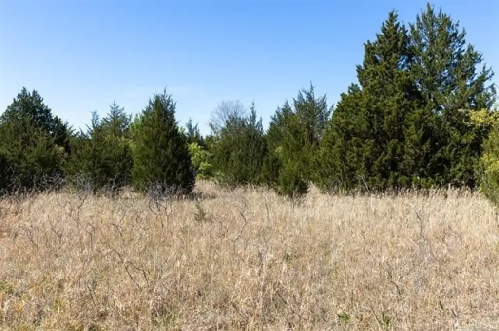 Picture 47