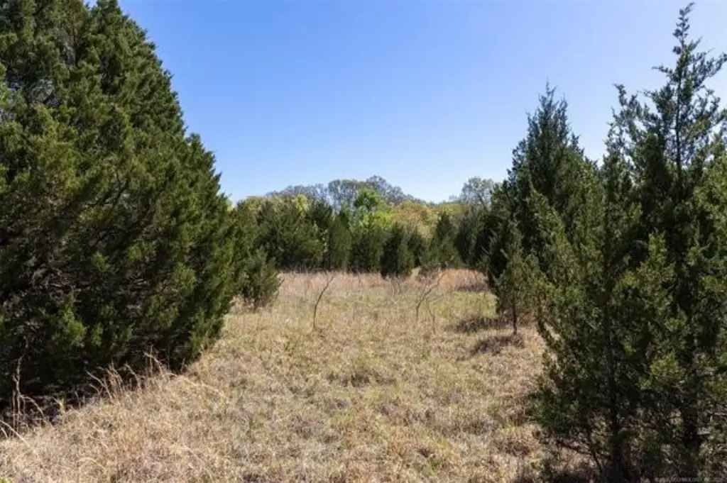 Picture 21