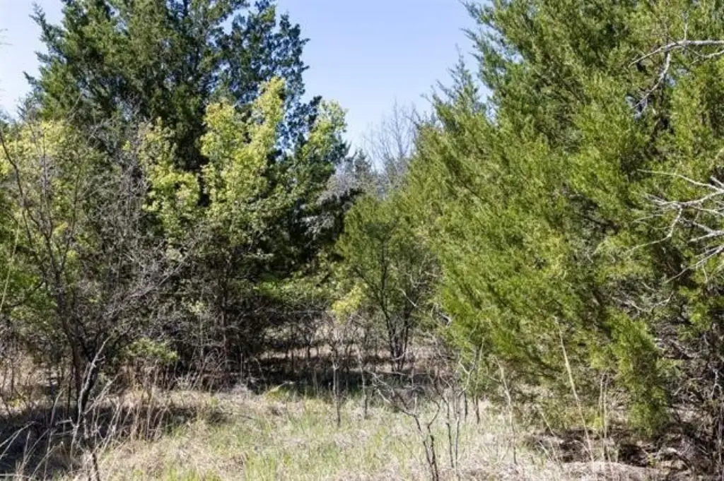 Picture 41