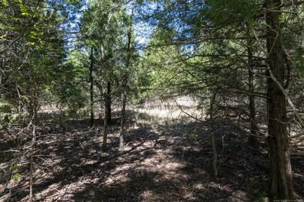 Picture 10