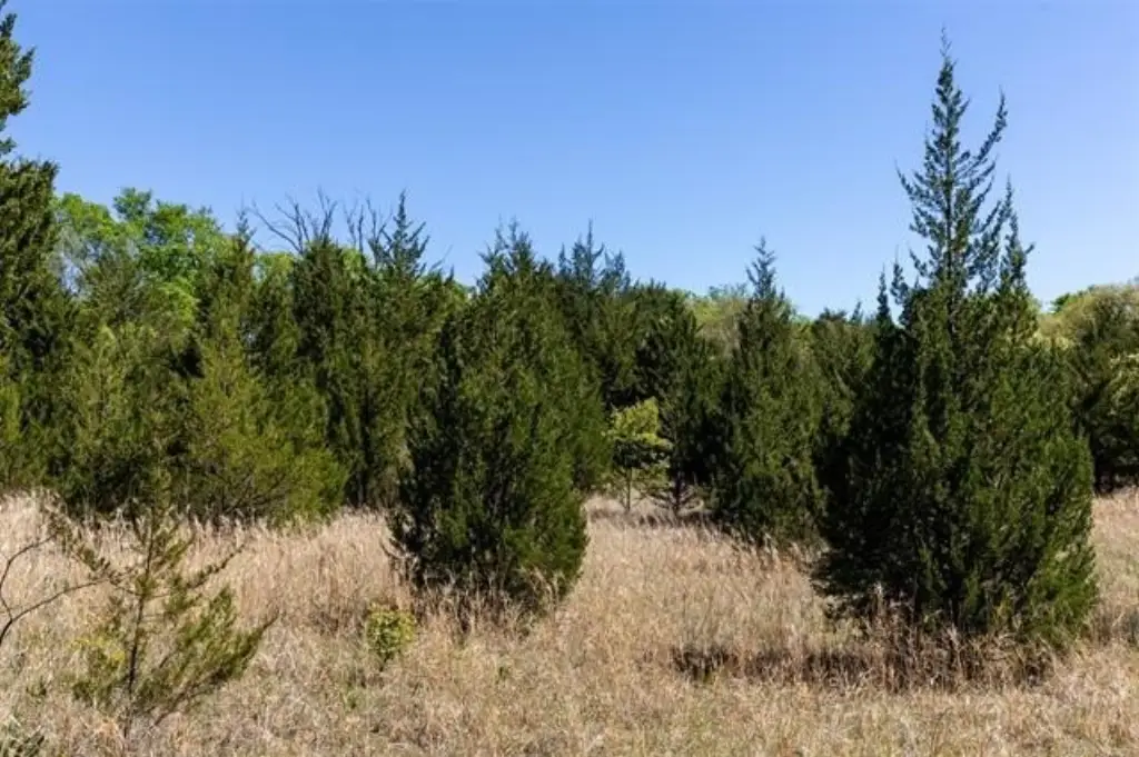 Picture 43