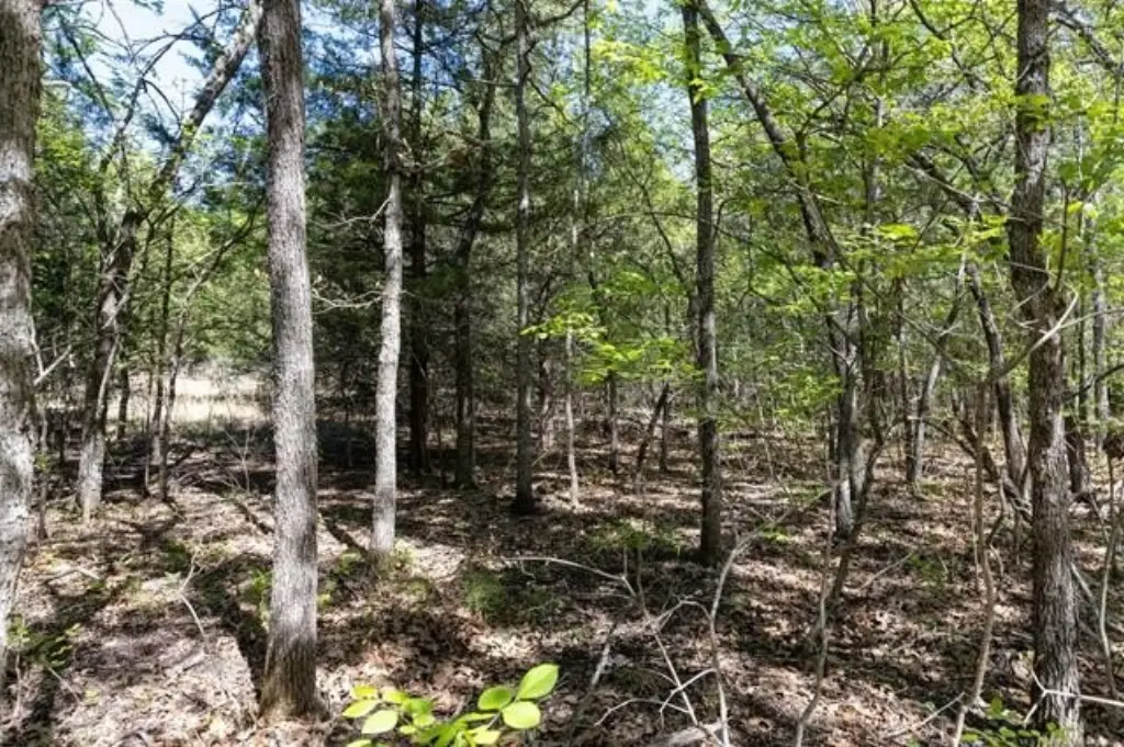 Picture 11