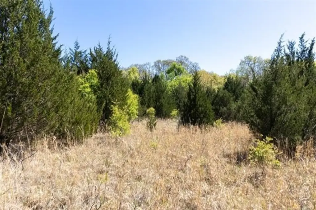 Picture 19