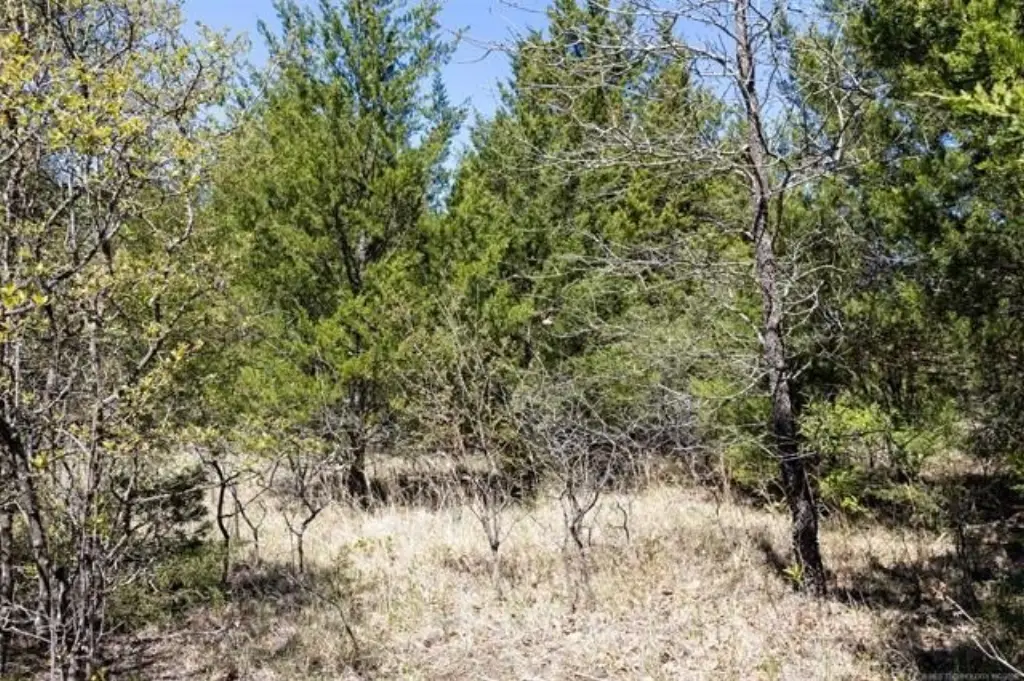 Picture 42