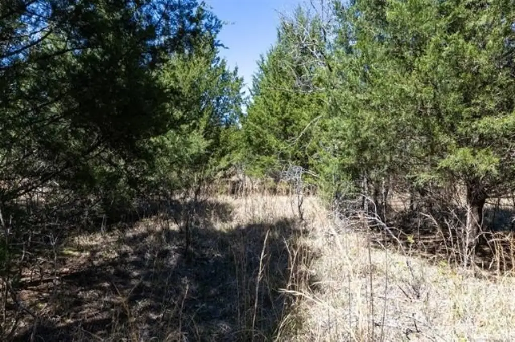 Picture 48
