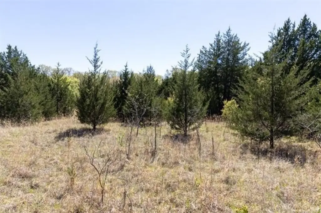 Picture 7