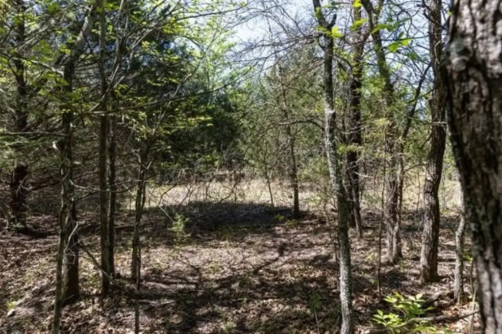 Picture 14