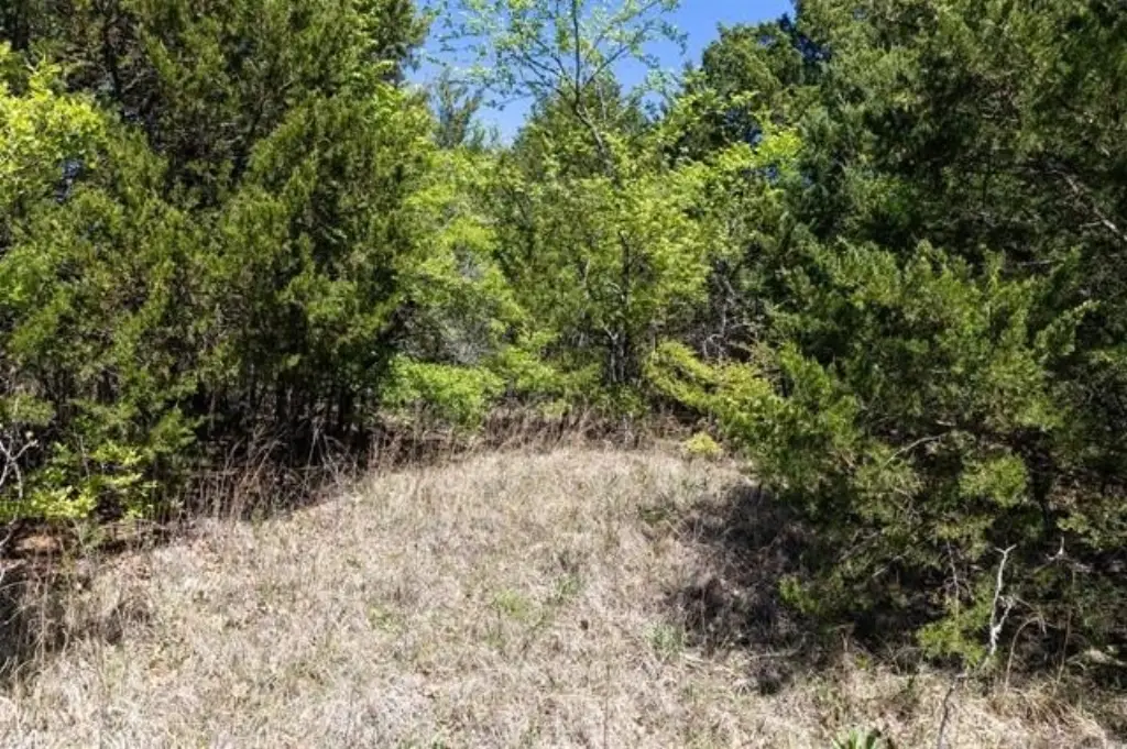 Picture 36