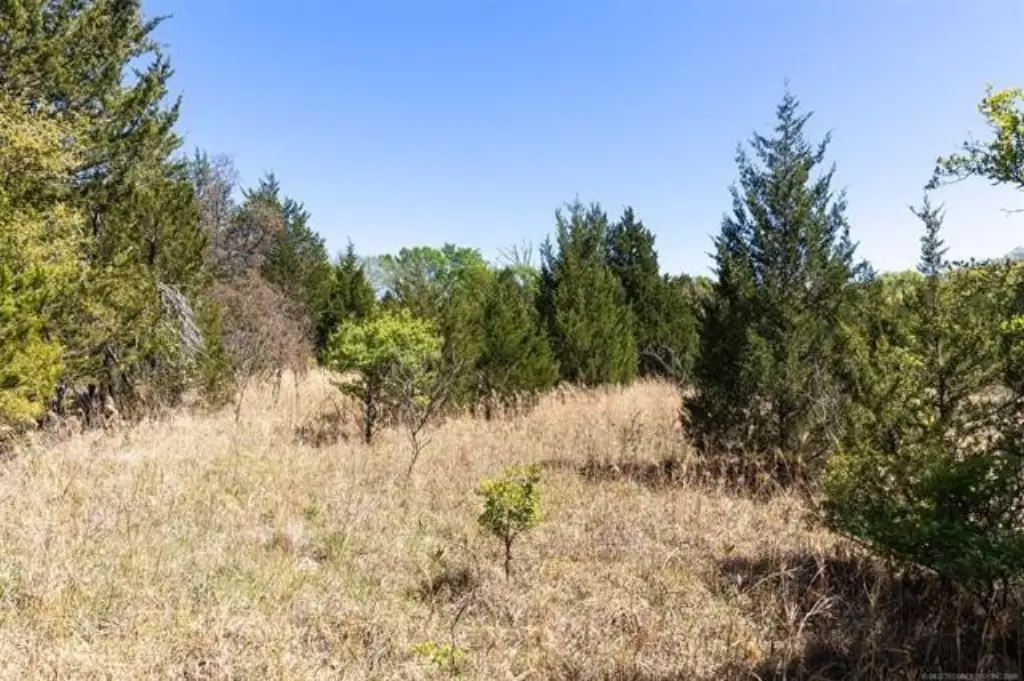 Picture 23
