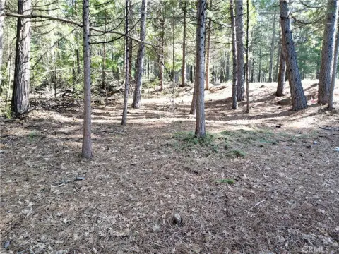 Residential Land in Magalia, CA