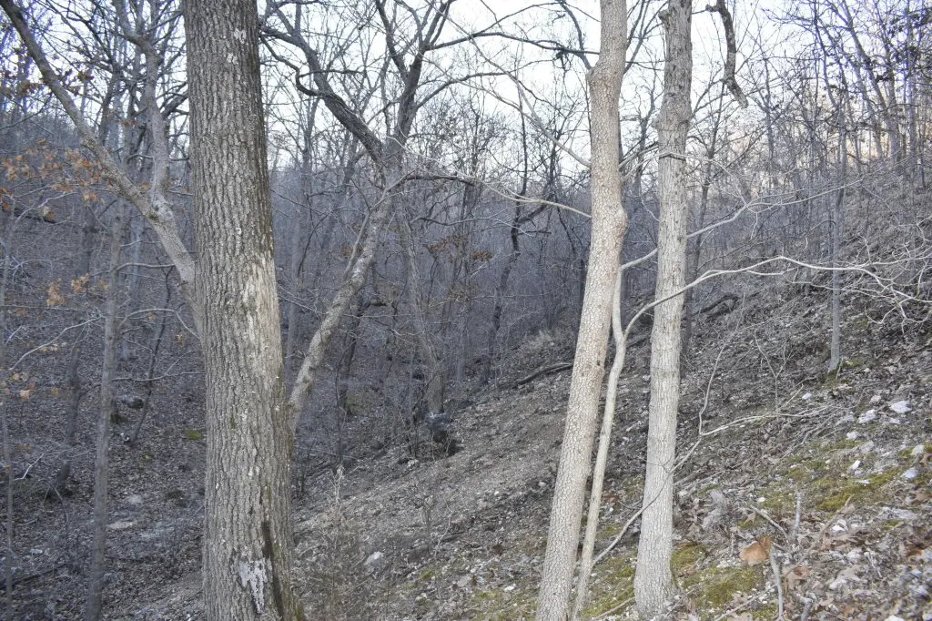 Picture 4