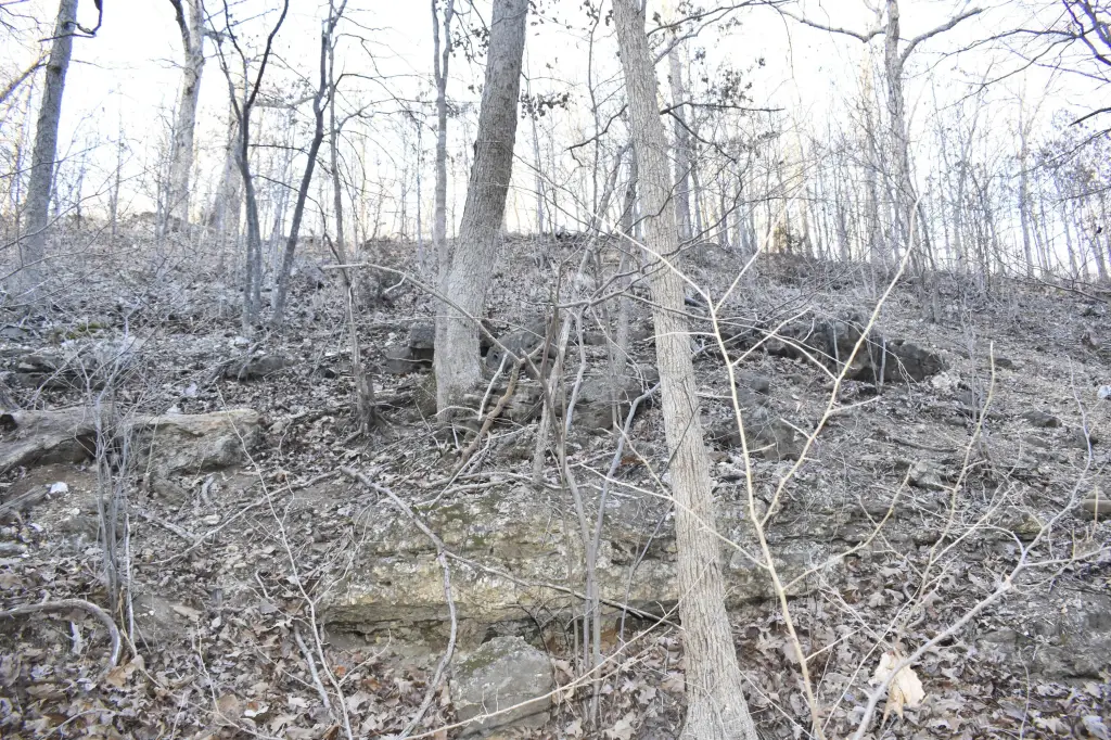 Picture 7