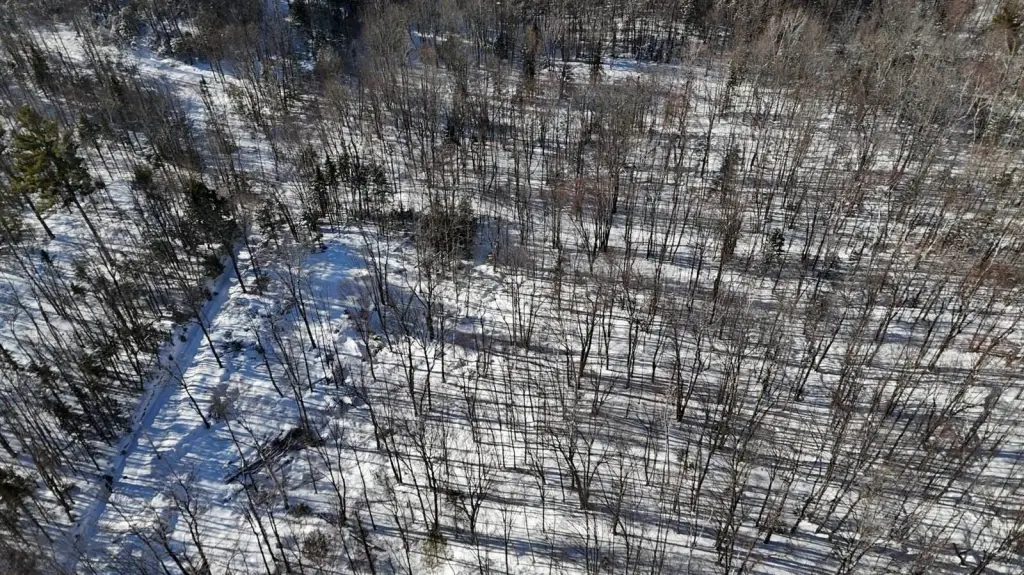 Picture 12